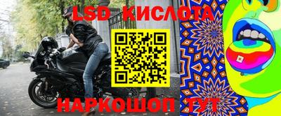 дмт Ставрополь